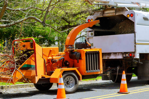 Best Lawn Grading and Leveling  in Elizabeth, PA